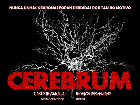 CEREBRUM_.jpg